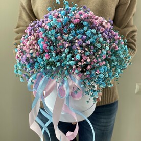 Цветная гипсофила в коробочке