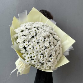 Огромный букет ромашковых хризантем