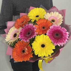 Герберы микс