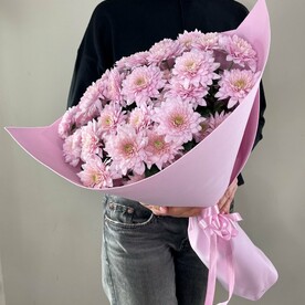 Розовая хризантема