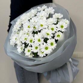 Хризантема ромашковая в серой упаковке
