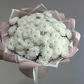 Букет из 15 кустовая хризантема "Селин"