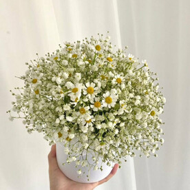 Летний сюрприз