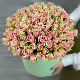 Букет из 101 зелено-розовой Кенийской розы в шляпной коробке