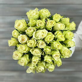 Букет из 35 белых роз с лентой Кения 40 см