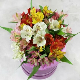 Композиция из разноцветных альстромерий в шляпной коробке