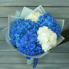 Букет из 5 гортензий в упаковке