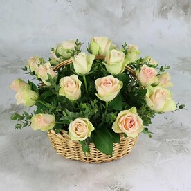 25 зелено-розовых роз в корзине, Кения