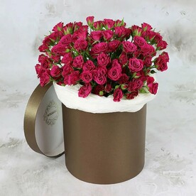 25 малиновых кустовых роз в шляпной коробке