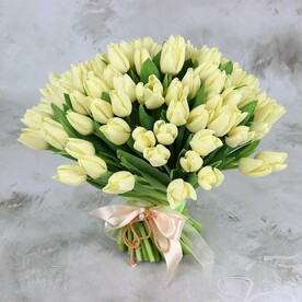 Букет из 101 белого тюльпана