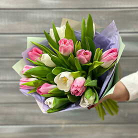 Букет из 15 розовых и белых тюльпанов в упаковке