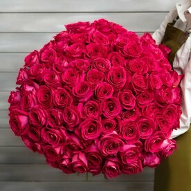 101 малиновая роза с лентой Эквадор 50 см