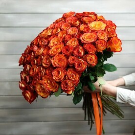 101 оранжевая роза с лентой Эквадор 50 см