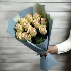 11 нежно-розовых роз Эквадор 50 см в упаковке