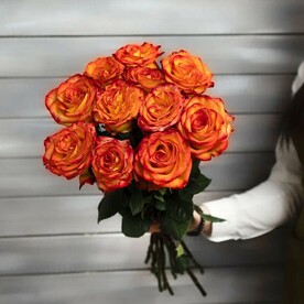 11 оранжевых роз Эквадор 50 см