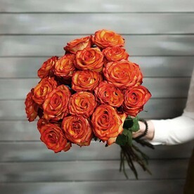17 оранжевых роз Эквадор 50 см