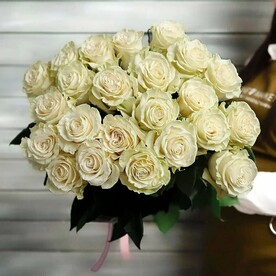 23 белые розы Эквадор 50 см