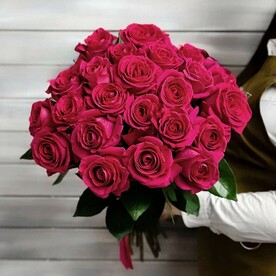 23 малиновые розы Эквадор 50 см