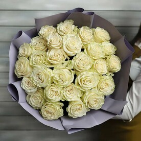27 белых роз Эквадор 50 см в упаковке