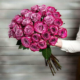 27 фиолетовых роз Эквадор 50 см
