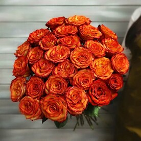 29 оранжевых роз Эквадор 50 см