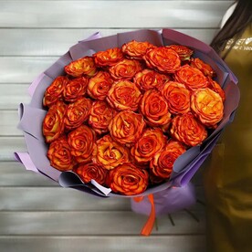 29 оранжевых роз Эквадор 50 см в упаковке