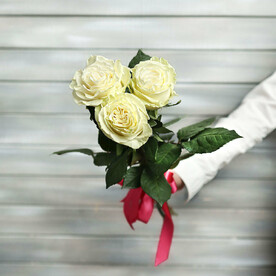 3 белые розы Эквадор 50 см