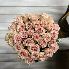 33 нежно-розовые розы Эквадор 50 см