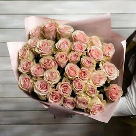 33 нежно-розовые розы Эквадор 50 см в упаковке