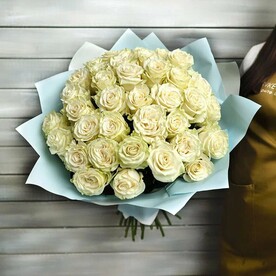 37 белых роз Эквадор 50 см в упаковке