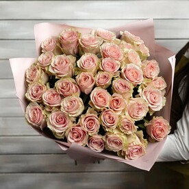 37 нежно-розовых роз Эквадор 50 см в упаковке