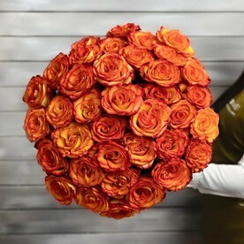 37 оранжевых роз Эквадор 50 см