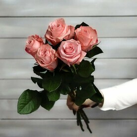 5 розовых роз Эквадор 50 см