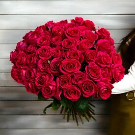 51 малиновая роза с лентой Эквадор 50 см