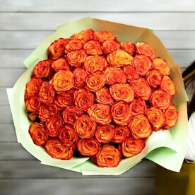51 оранжевая роза в упаковке Эквадор 50 см