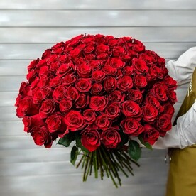 75 красных роз Эквадор 50 см