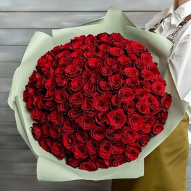 75 красных роз Эквадор 50 см в упаковке