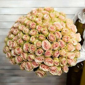 75 нежно-розовых роз Эквадор 50 см