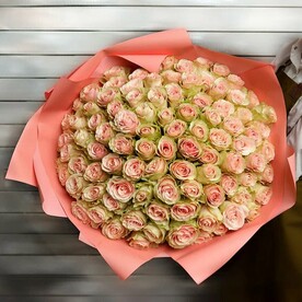 75 нежно-розовых роз Эквадор 50 см в упаковке
