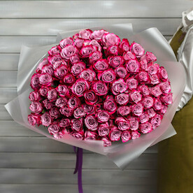 75 фиолетовых роз Эквадор 50 см в упаковке