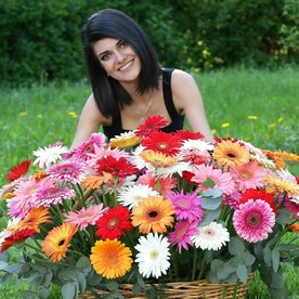 Композиция из 101 герберы в плетеной корзине