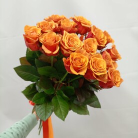 Букет 15 роз Испания