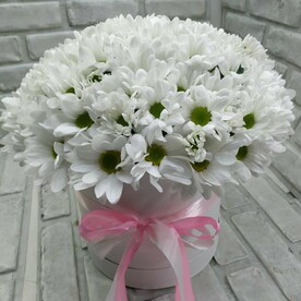 Хризантема в коробке