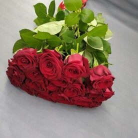 Красная роза 19 шт