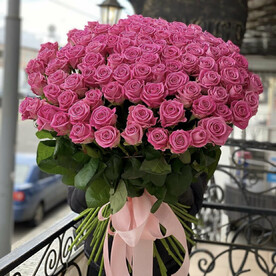 75 Розовая роза