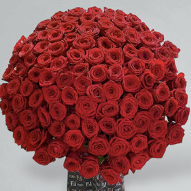 101 Роза ред Наоми