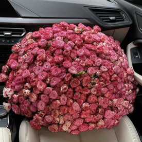 Пионовидная кустовая Роза