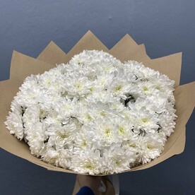 Хризантема кустовая, Крафт