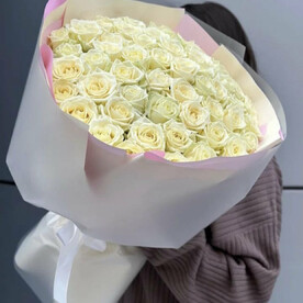 51 Белая Роза