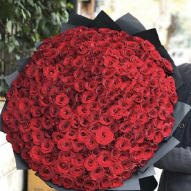151 красная Роза
